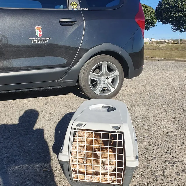 Trasportín para mascotas